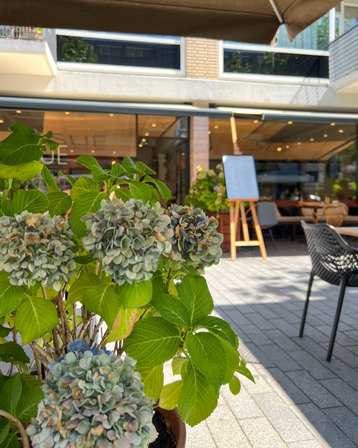 Op het terras van SUE