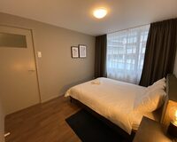IMG 0494