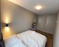 IMG 0504