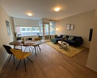 IMG 0517
