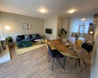 IMG 0520