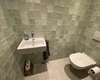 IMG 0525